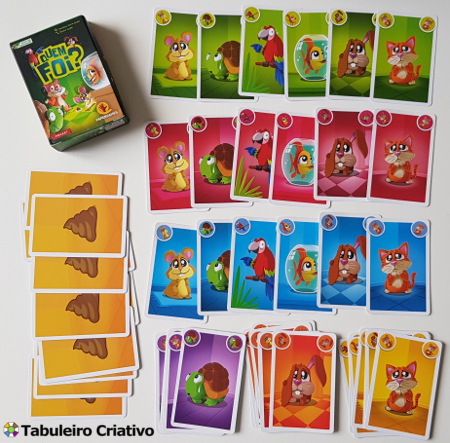 Review Jogo Quem Foi? Imagem 1: Cartas do jogo 