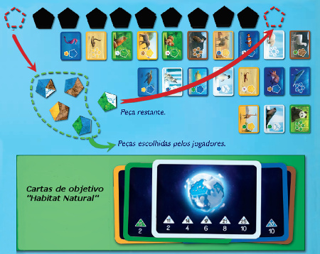 Review Jogo Planet Imagem 2: Arranjo das peças do jogo e cartas de objetivo
